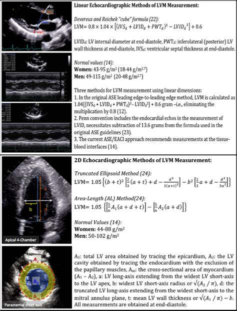 lv mass echo|Lv mass formula echo.